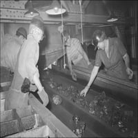 24 x36 Galerija, žene sortiraju rudnik uglja Stansbury, Rock Springs, Wyoming 1946