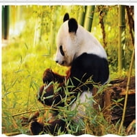 Panda tuš zavjesa, velika panda sjedeća šuma jedenje bambusovog stabla kovčeg kostiranja tisak divljine,